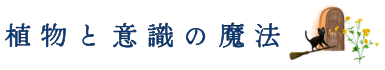 YUKIHA